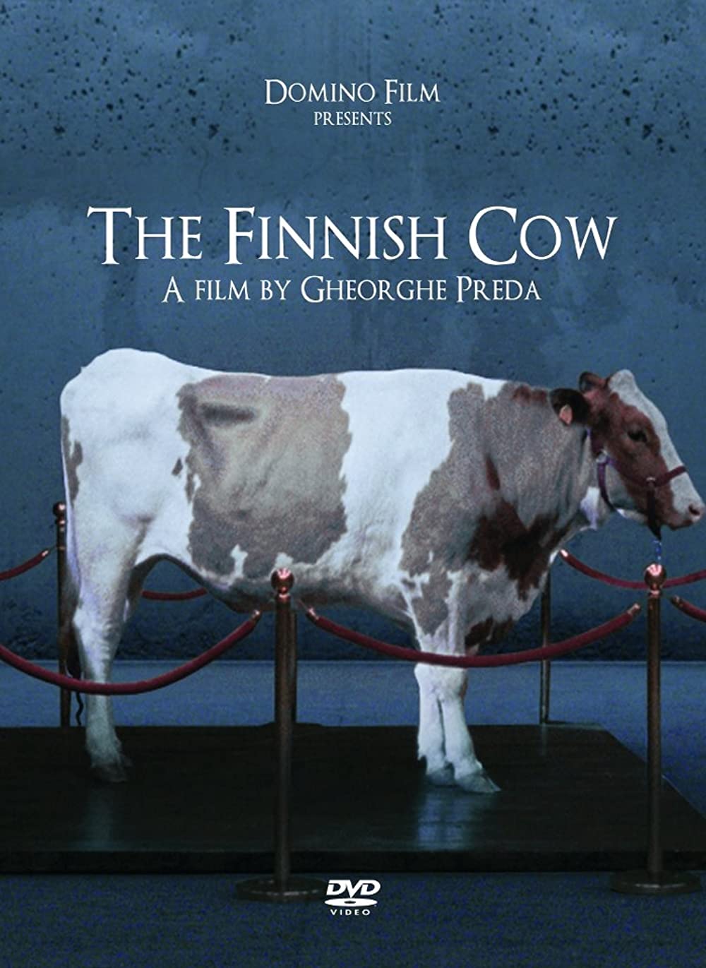 Vaca finlandezã/The Finnish Cow